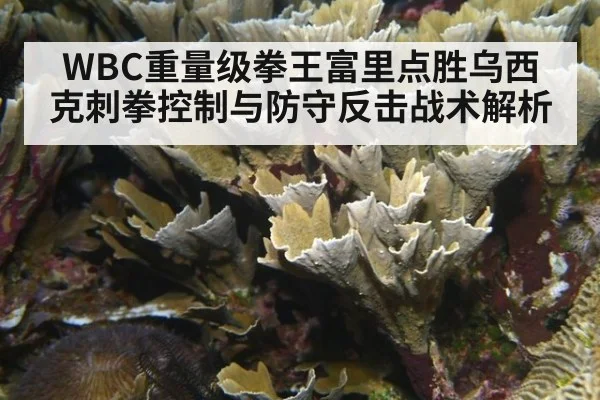 WBC重量级拳王富里点胜乌西克刺拳控制与防守反击战术解析