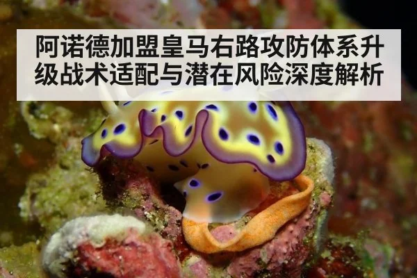 阿诺德加盟皇马右路攻防体系升级战术适配与潜在风险深度解析